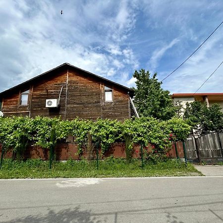 ❆Cozy, 4 Br. Villa In Ananuri❆ Exterior photo
